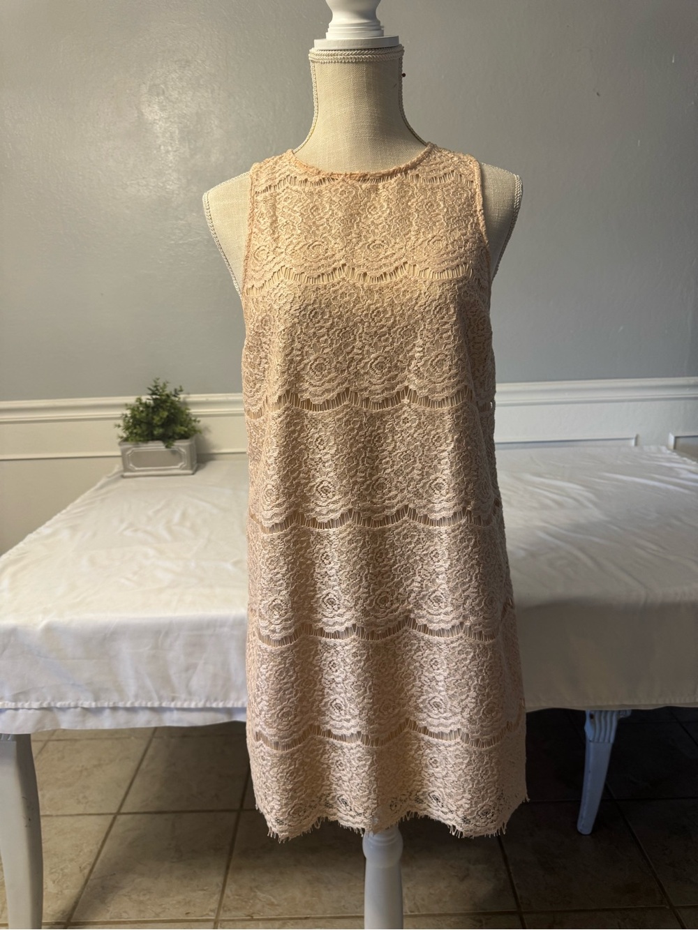 bleuh ciel Sleeveless Lace Mini Dress in Blush Peach